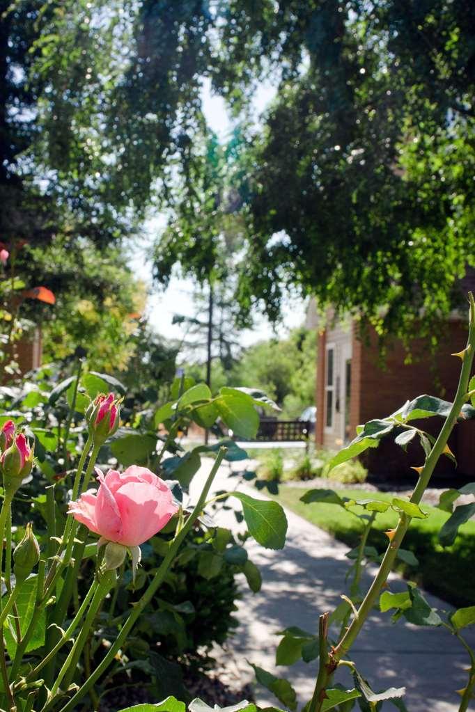 Sonesta Es Suites Fresno Zařízení fotografie